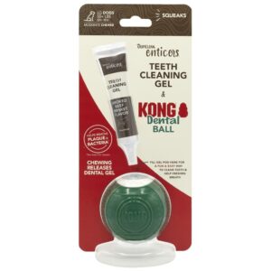 KONG Dental Ball. Inkl. 35ml gel.